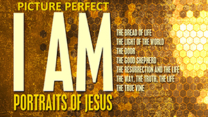 PicturePerfect I AM - Portraits of Jesus